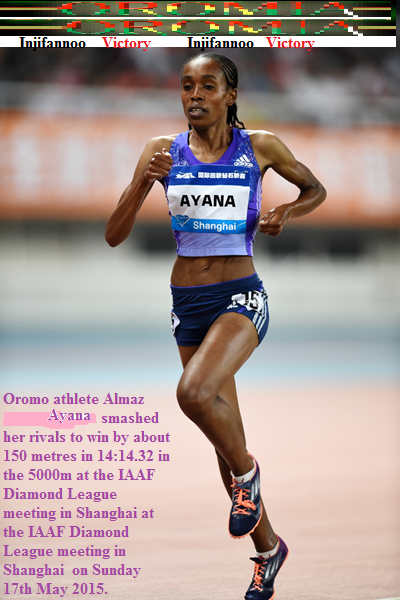 Oromo athlete Almazi Ayana wins SHANGHAI – IAAF DIAMOND LEAGUE IN 5000m on 17 May 2015